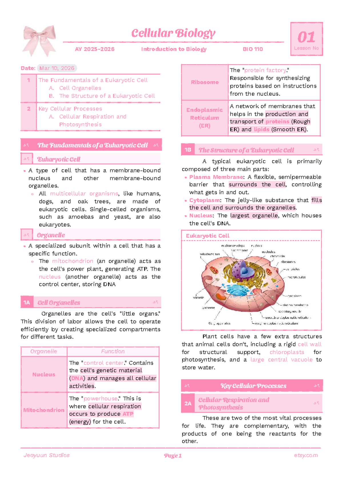 Cellular Biology Lecture Notes: BIO 110 Fundamentals of Eukaryotic ...