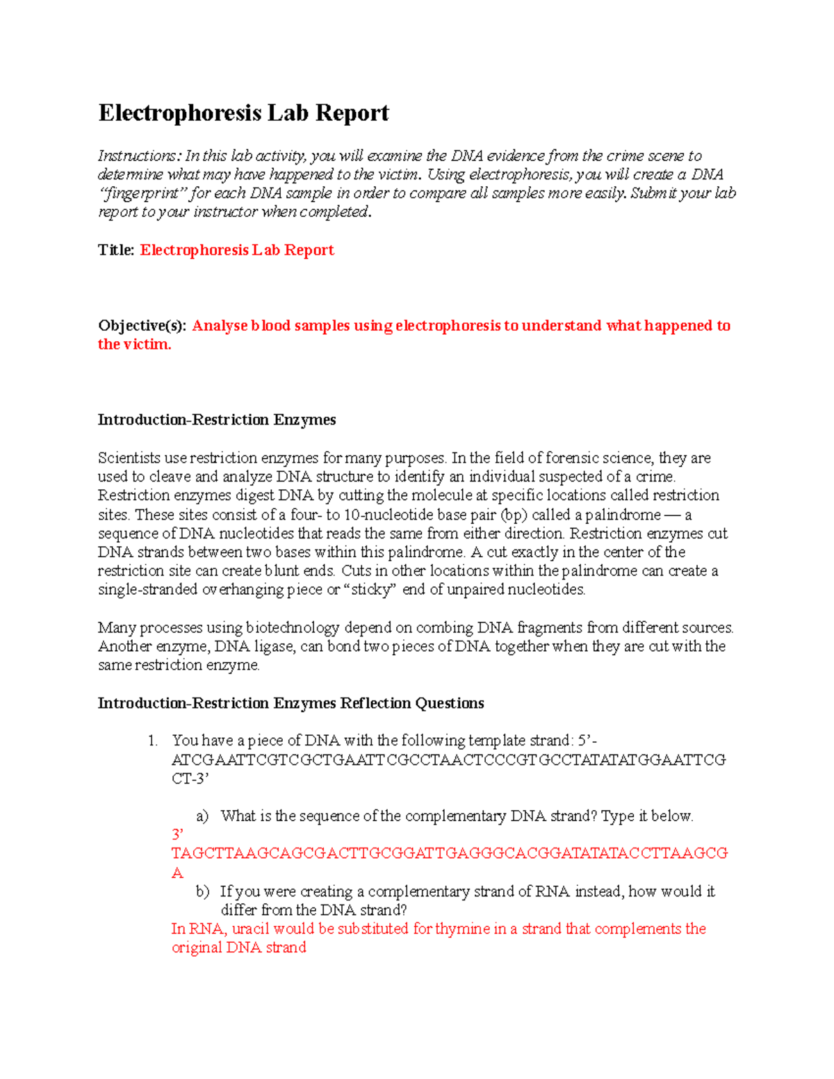 Electrophoresis Lab Report (06 01): Analyzing DNA Evidence for ...