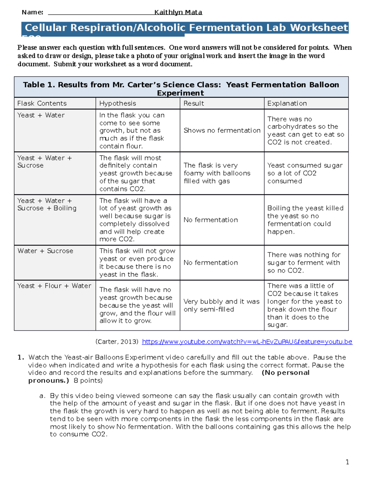 Cellular Respiration and Yeast Fermentation Worksheet F20 - Studocu