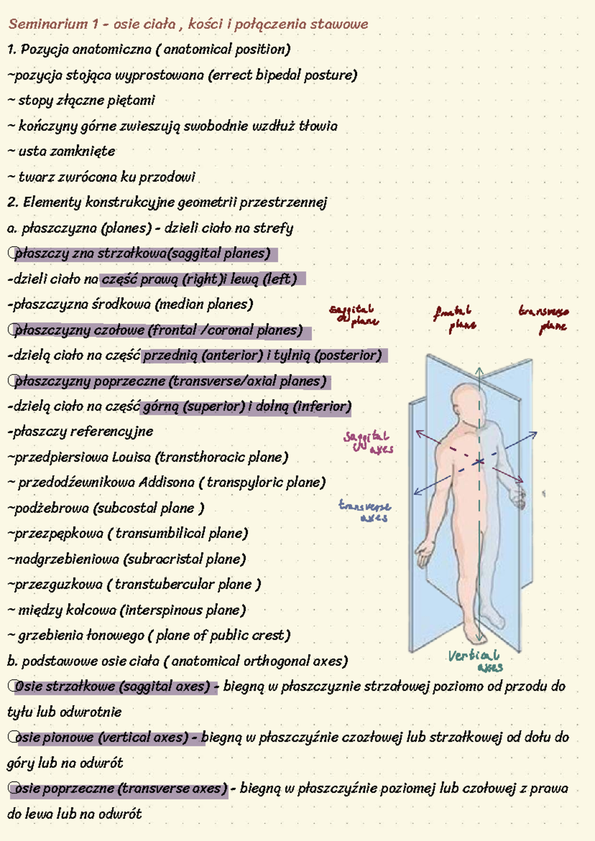 Osie ciała i płaszczyzny - Anatomia i pozycje 1 - Studocu