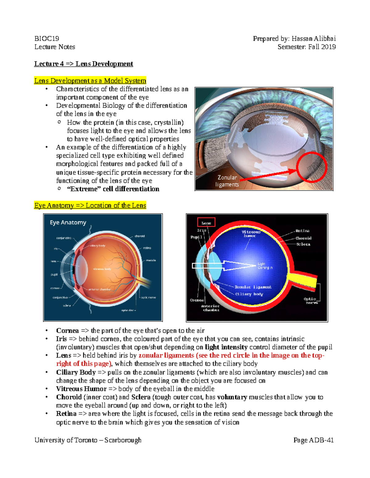 BIOC19 Fall 2019 Lecture 4: Lens Development Insights - Studocu