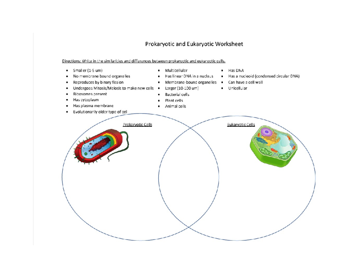 Prokaryotic vs Eukaryotic Cells Worksheet - Studocu
