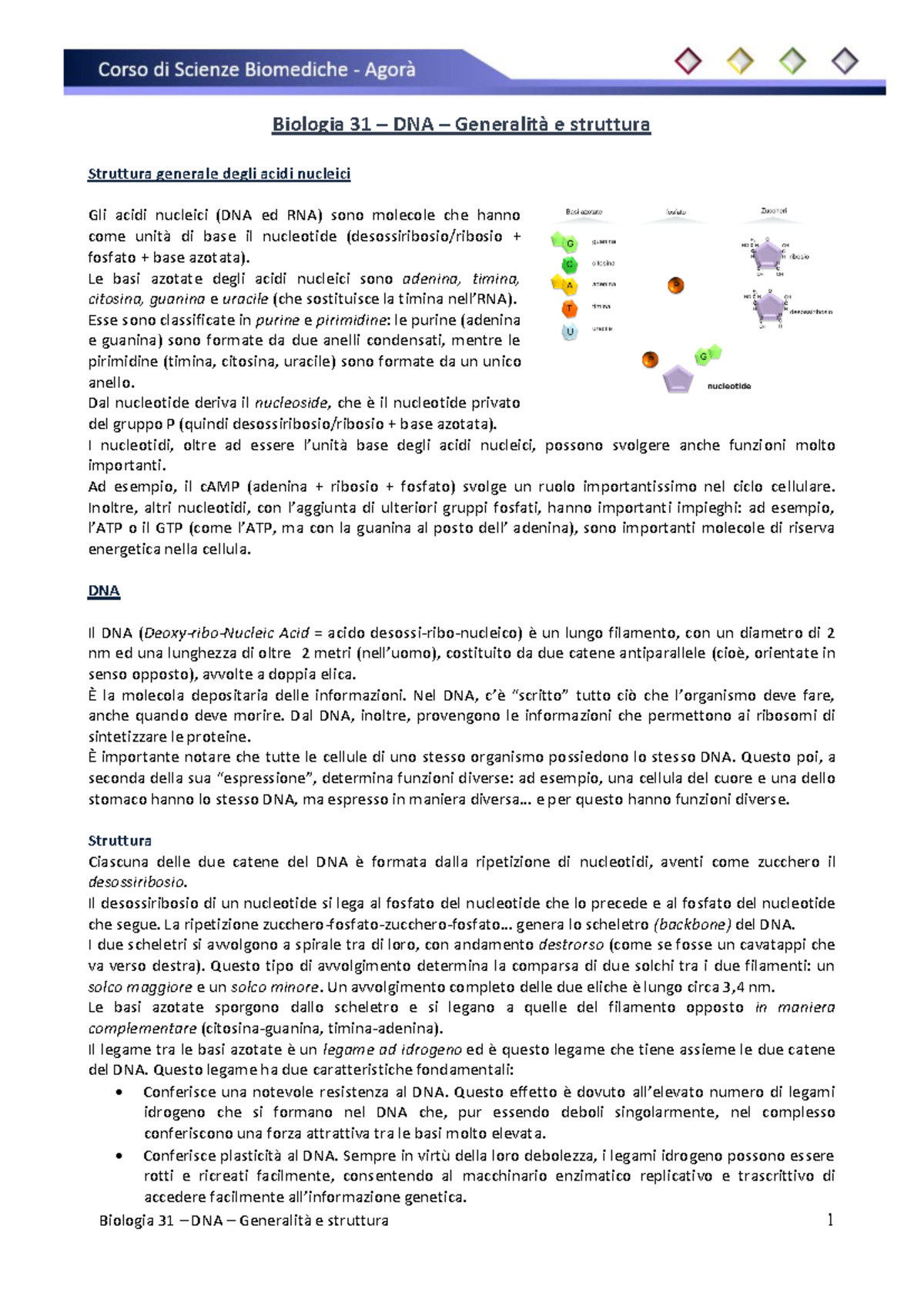 elementi di biologia e genetica