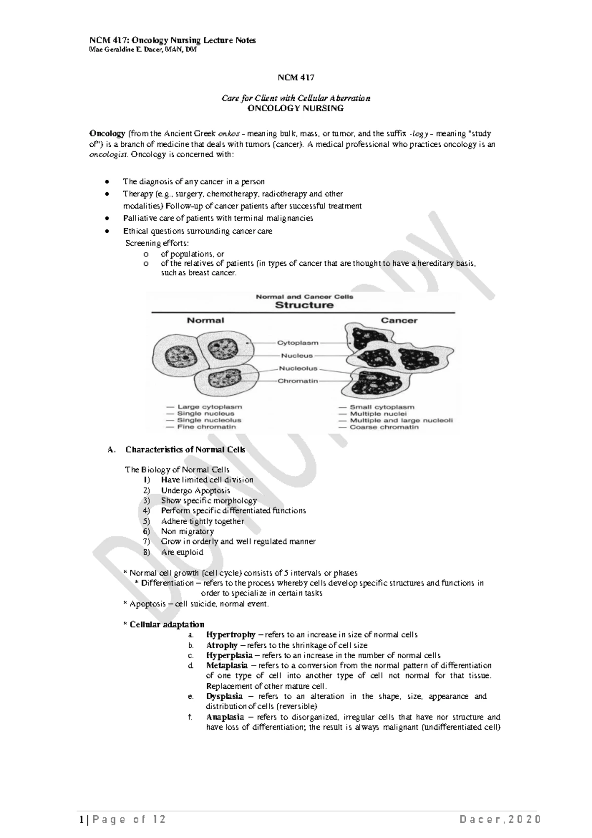 Headnursing Practicum Guidelines (Level IV) - Nursing 101 - Studocu
