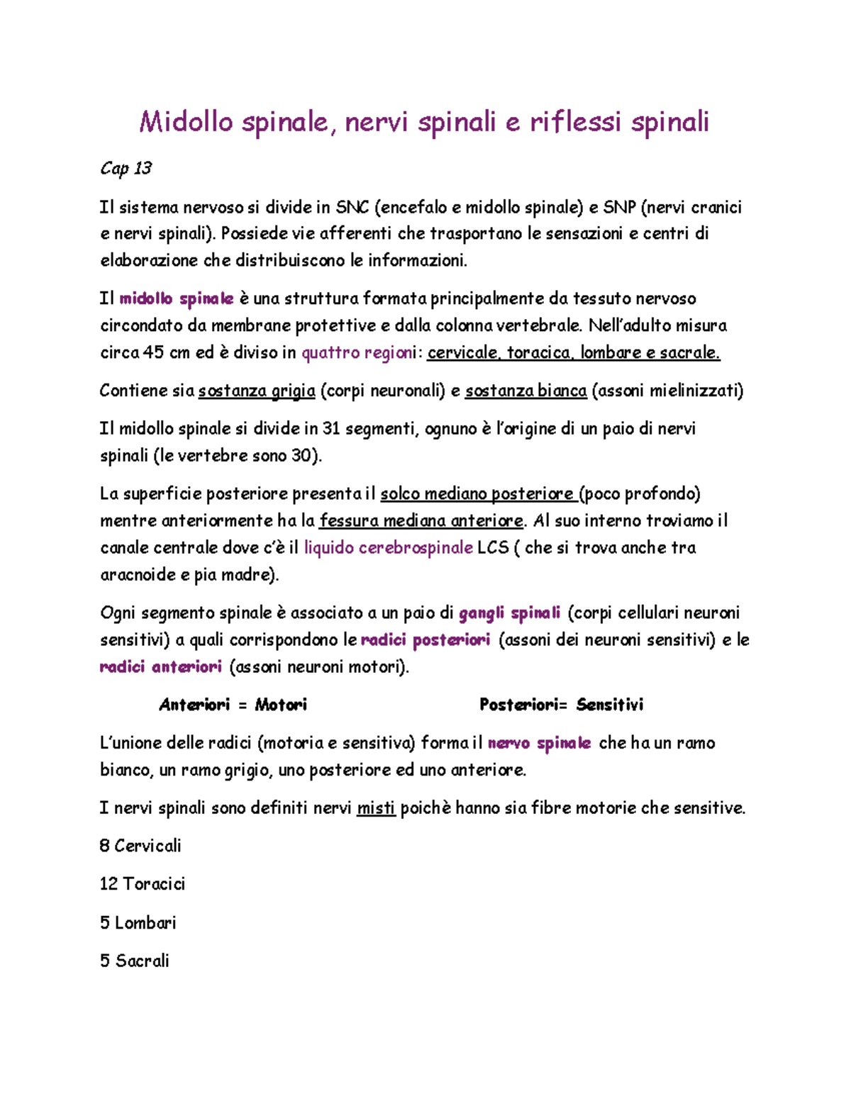 Riassunto Sistema Nervoso - Fondamenti Anatomia e Fisiologia (Capitoli 13-14) - Document Preview