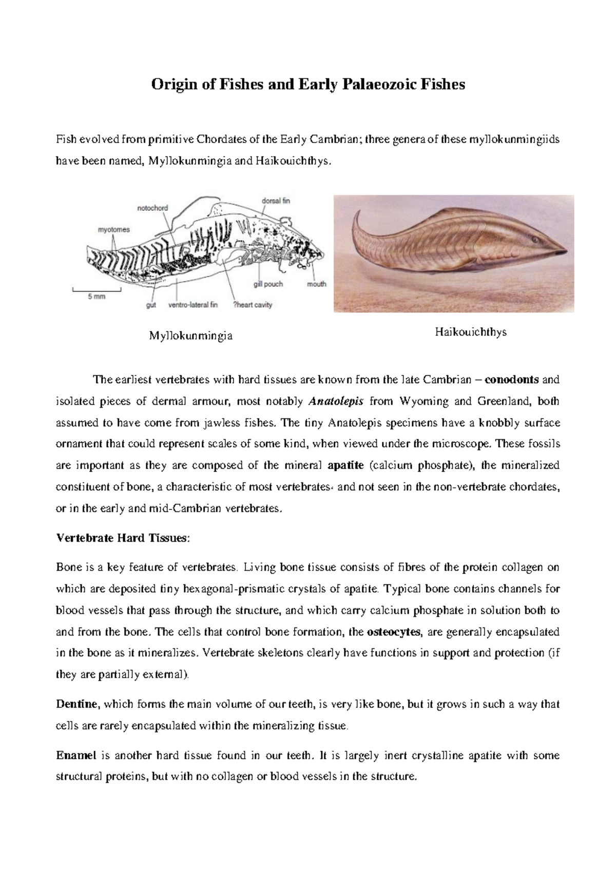 Origin and Evolution of Early Palaeozoic Fishes: Key Concepts - Studocu