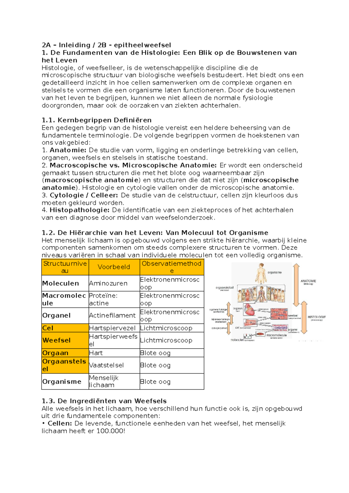 2A - Inleiding en 2B - Epitheelweefsel: Fundamenten van Histologie ...