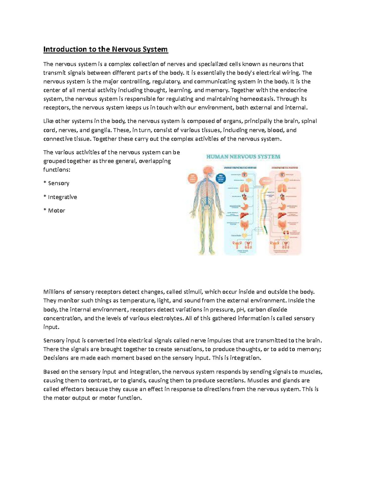 Nervous System Overview - Document MM: Introduction and Neuron Types ...