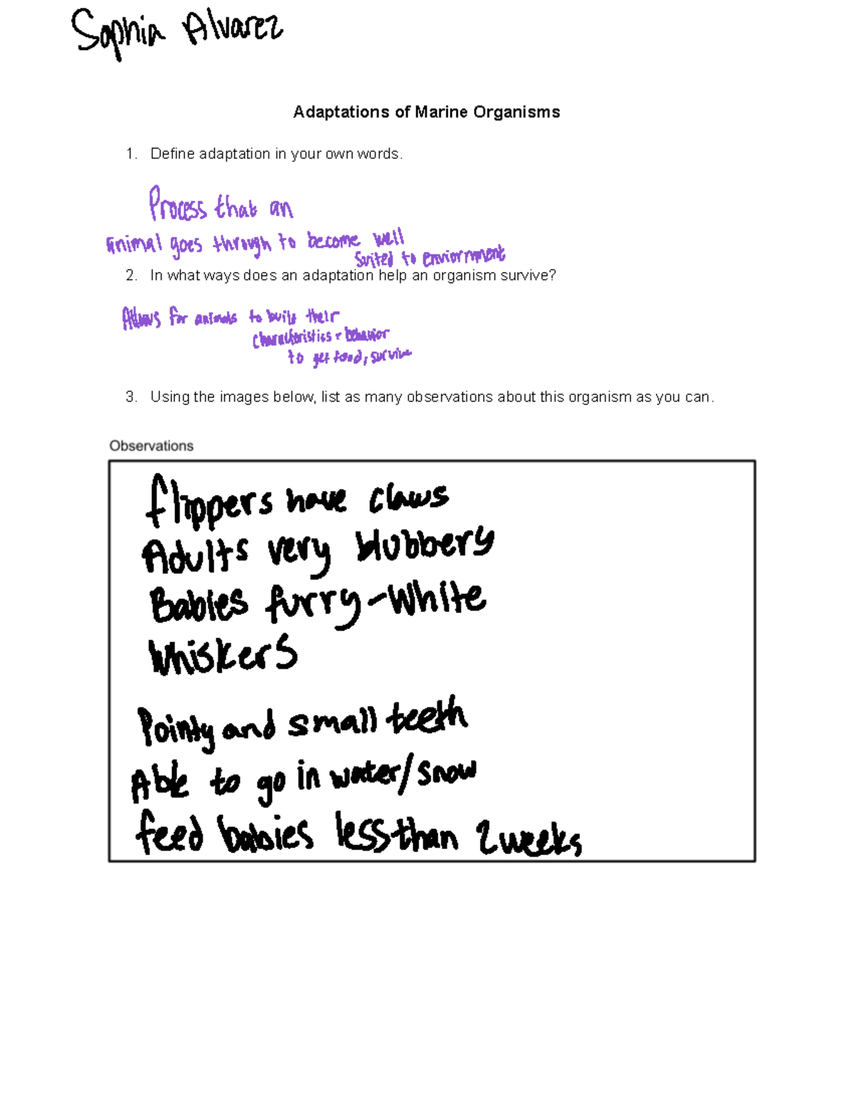 043e211a8b8cd1028e1a9666f09d9aaf - Adaptations of Marine Organisms ...