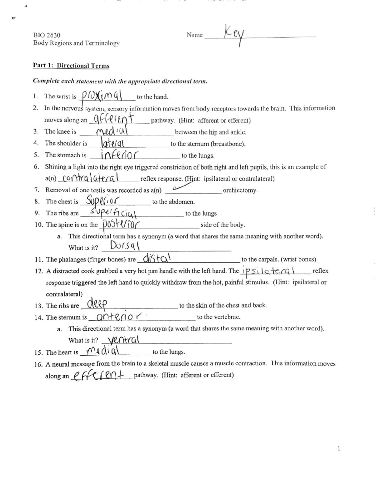 BIO 2630 Final Exam Directional Terms Practice Assignment - Studocu
