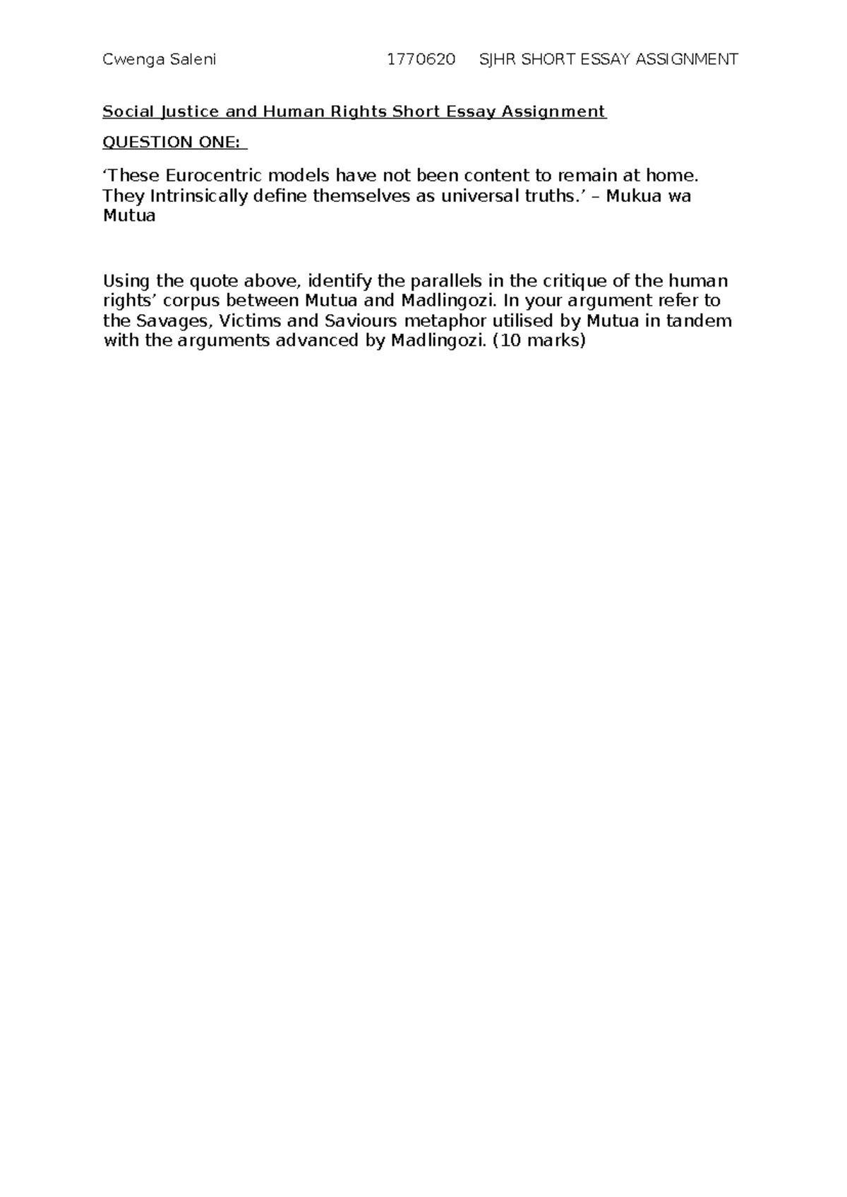 Social Justice and Human Rights Short Essay Assignment - Cwenga Saleni ...