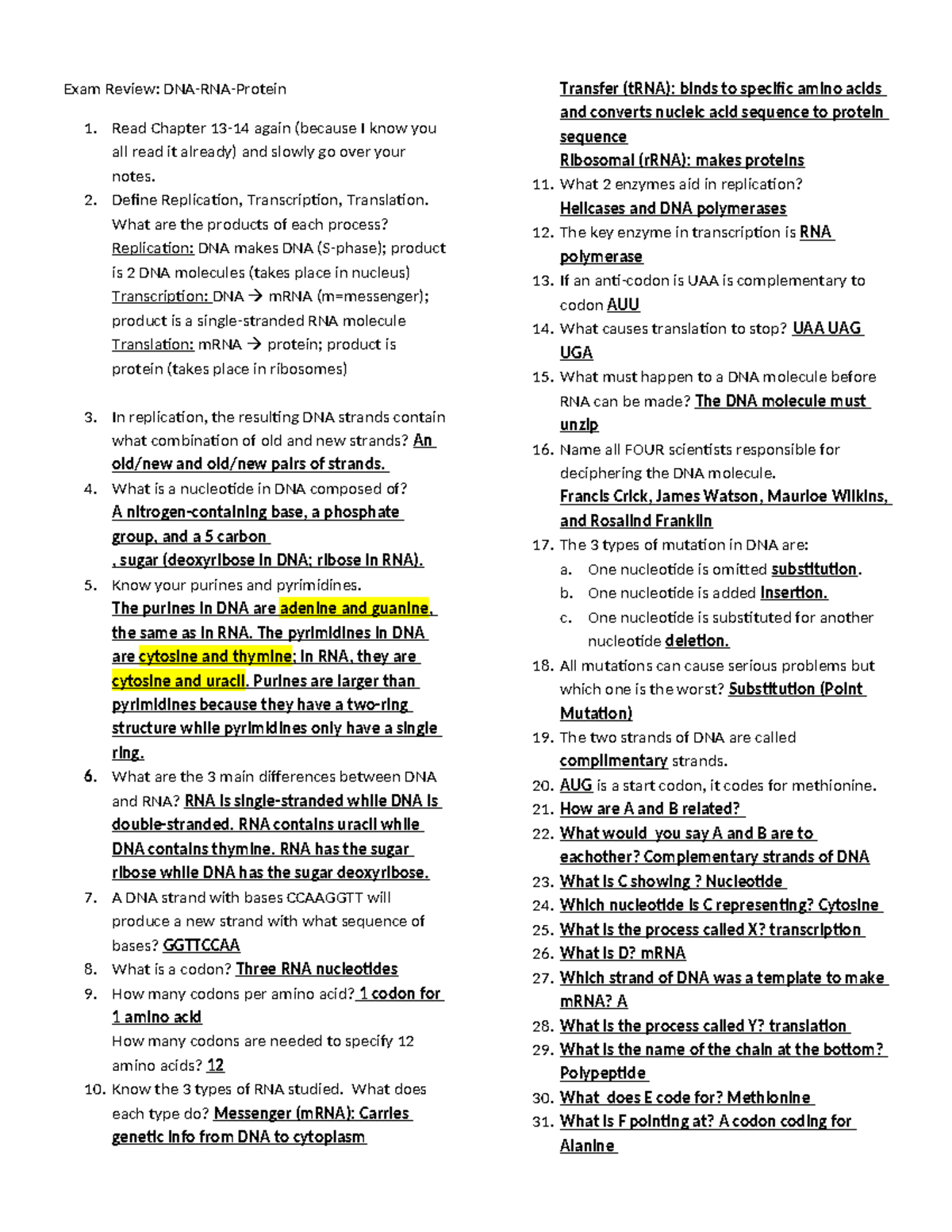 TRUE Exam Review for DNA RNA Protein - Exam Review: DNA-RNA-Protein 1 ...