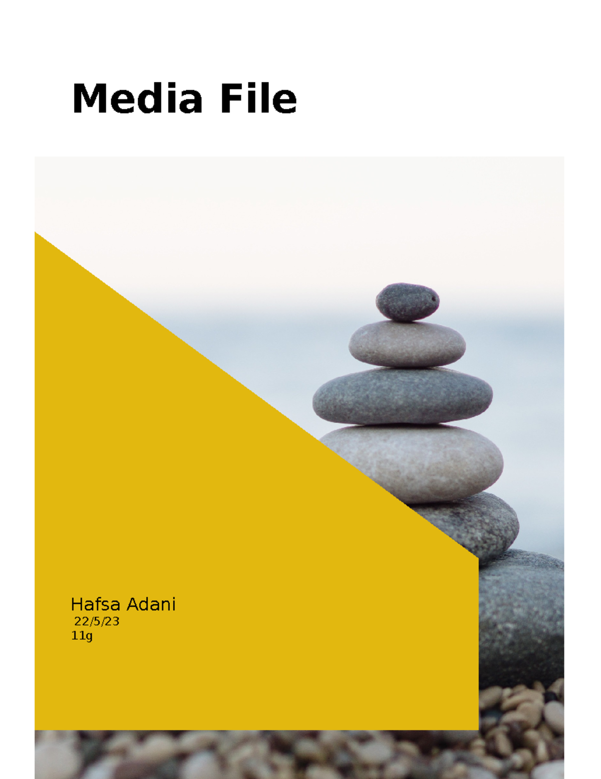 Media File - Its an assignment - Media File Hafsa Adani 22/5/ 11g ...