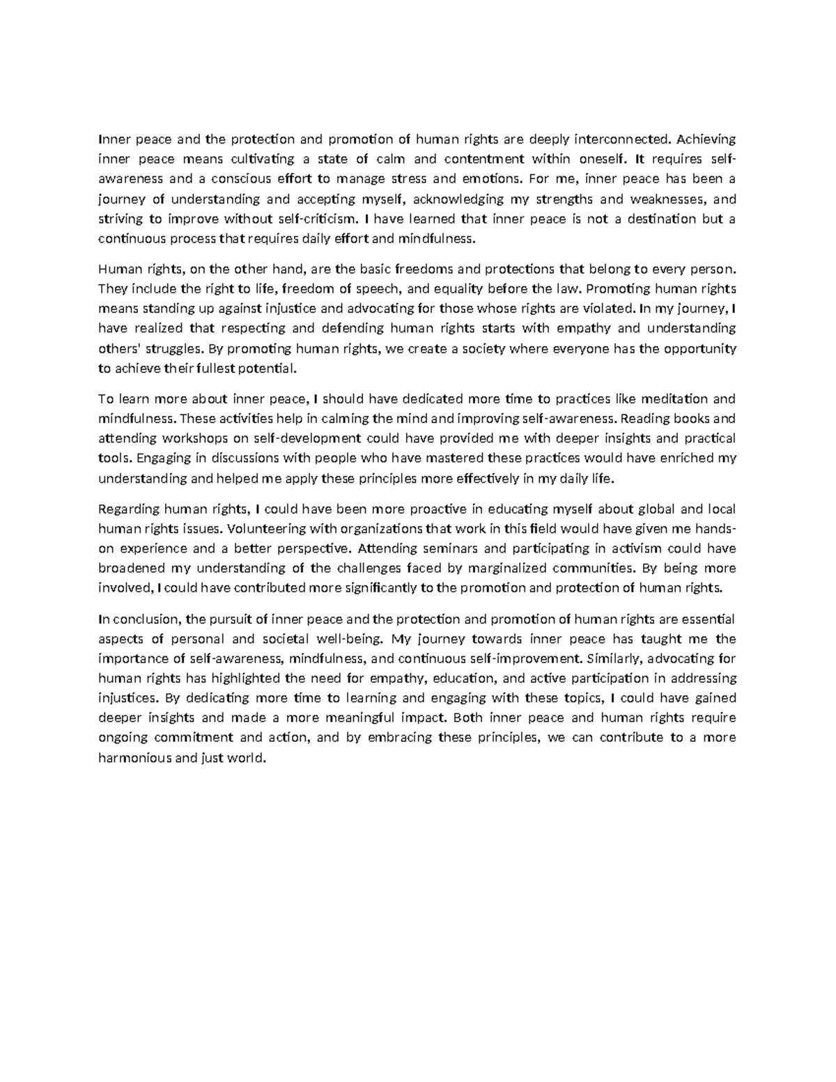 Peace - Inner peace and the protection and promotion of human rights ...