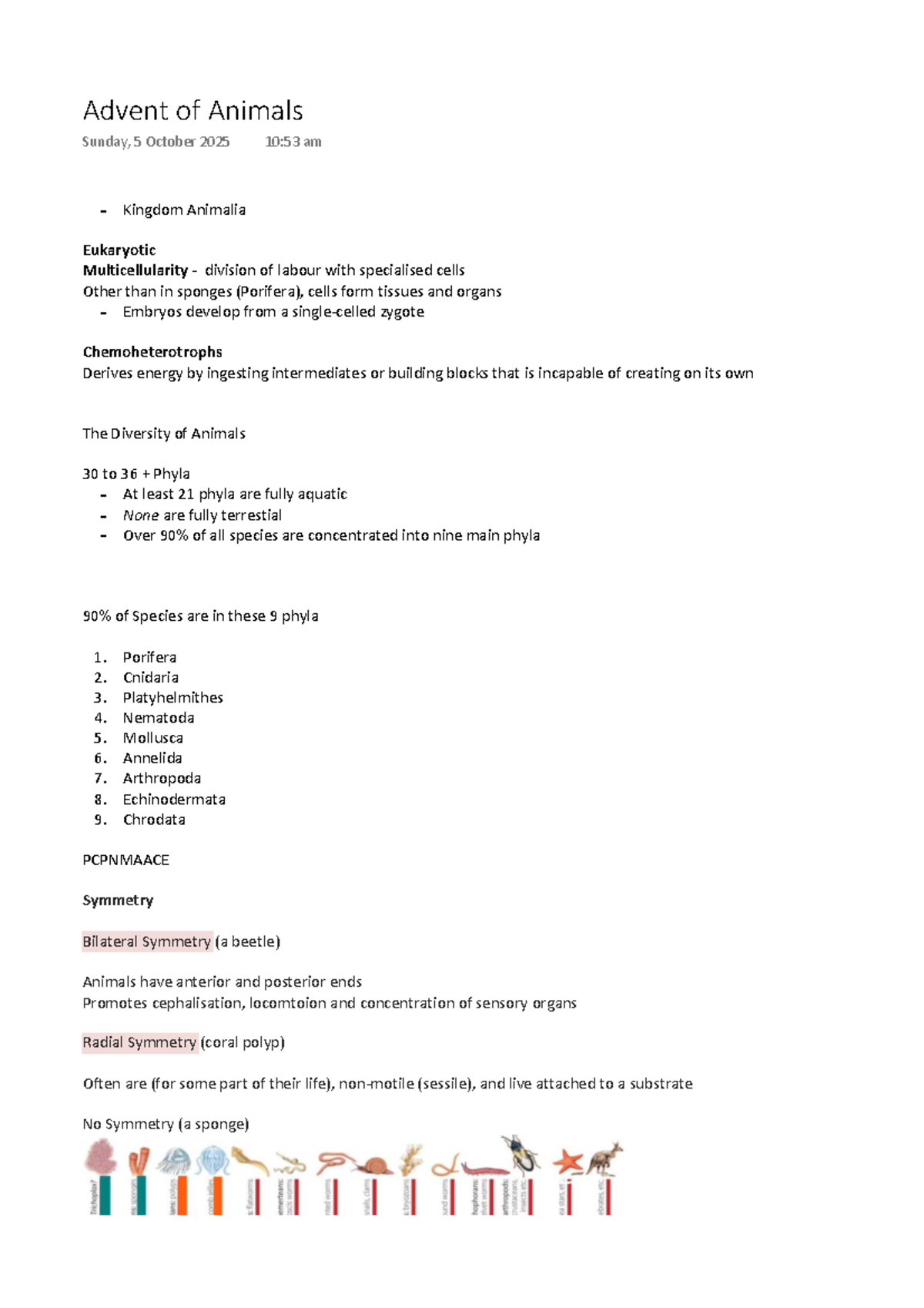 Lecture Notes on Kingdom Animalia and Its Diversity - Studocu