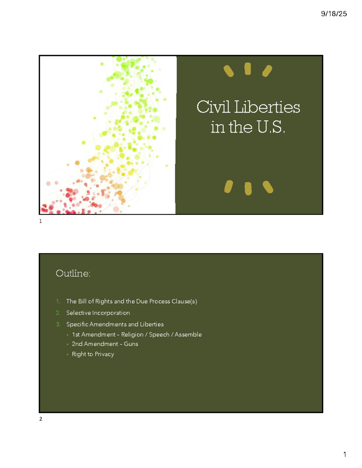 Civil Liberties in the U.S. (POL 101): Bill of Rights Overview - Studocu