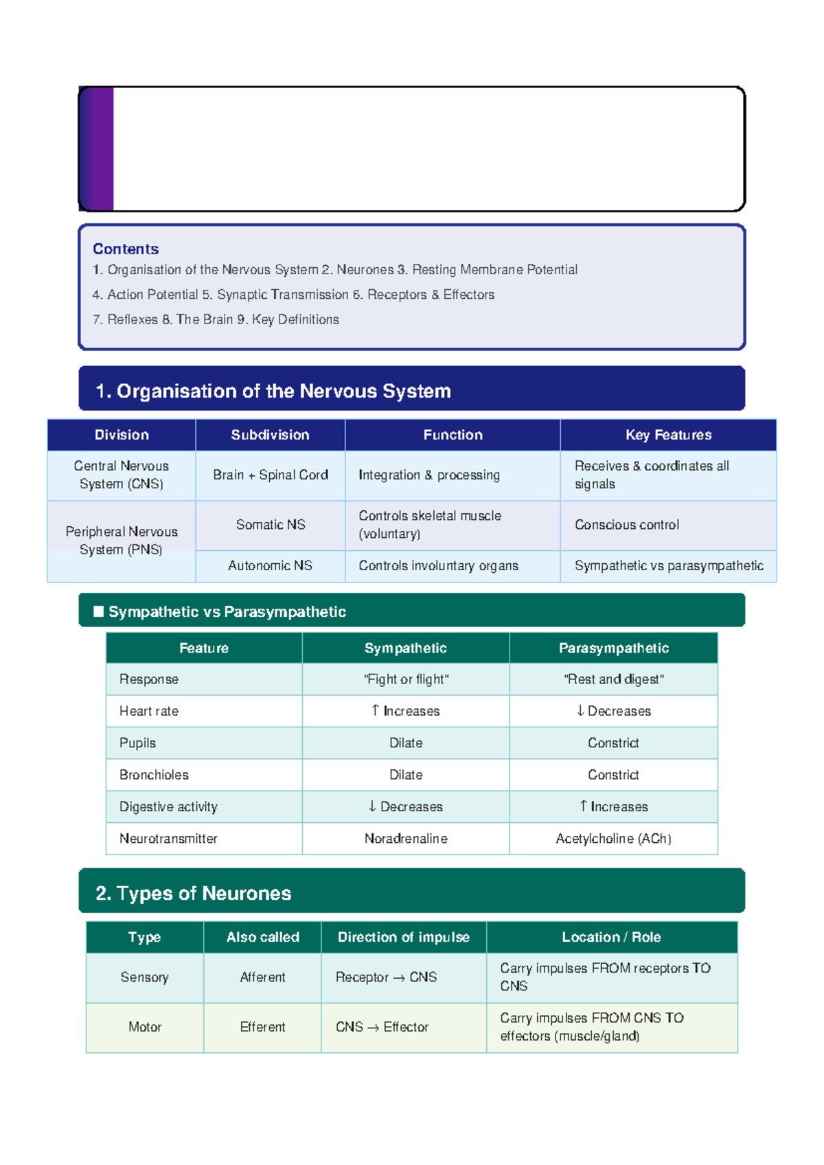 A Level Biology Nervous System Comprehensive Study Notes - Studocu