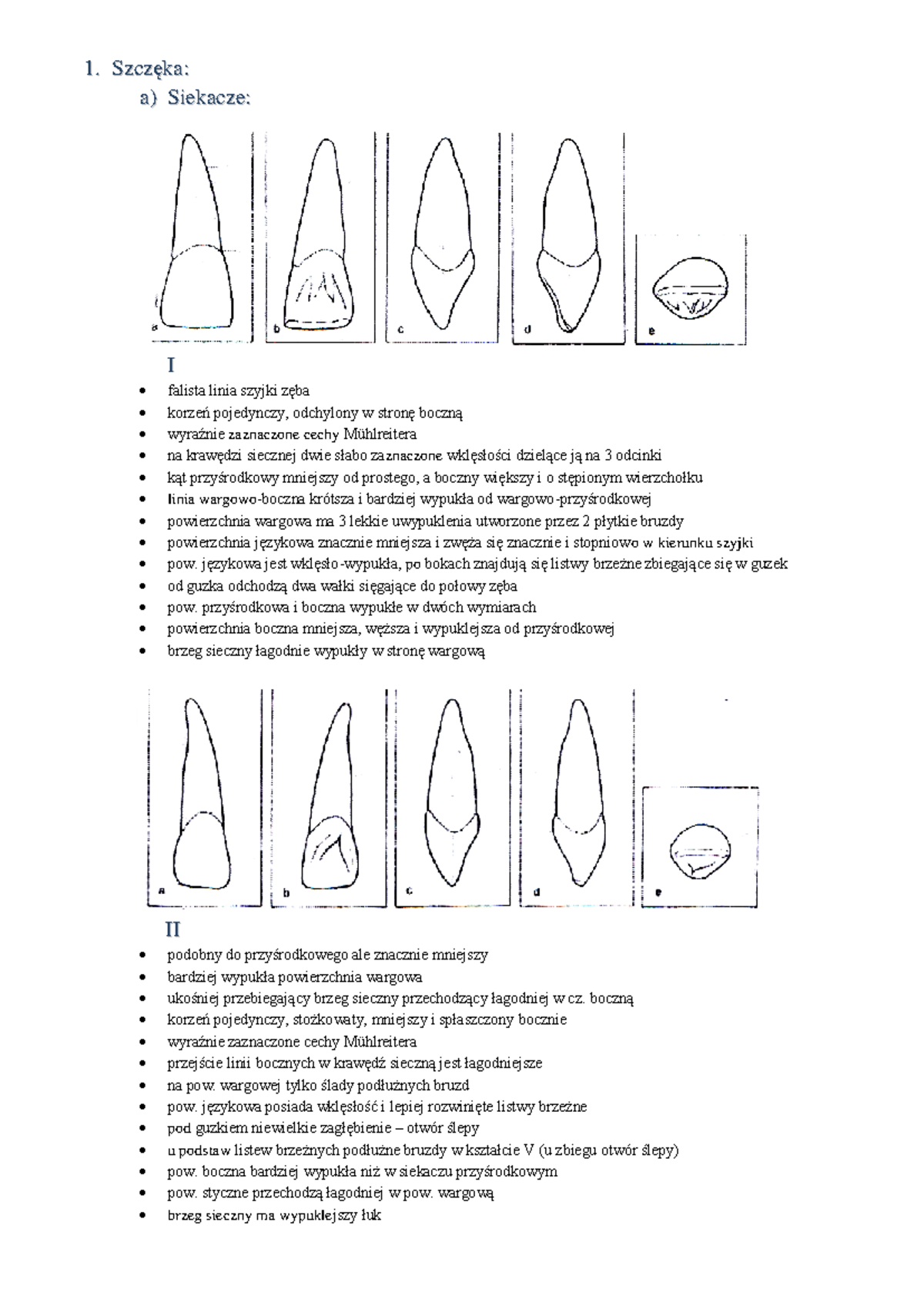 Cechy zebów według Muchleirtera na kierunku techniki dentystycznym - Document Preview
