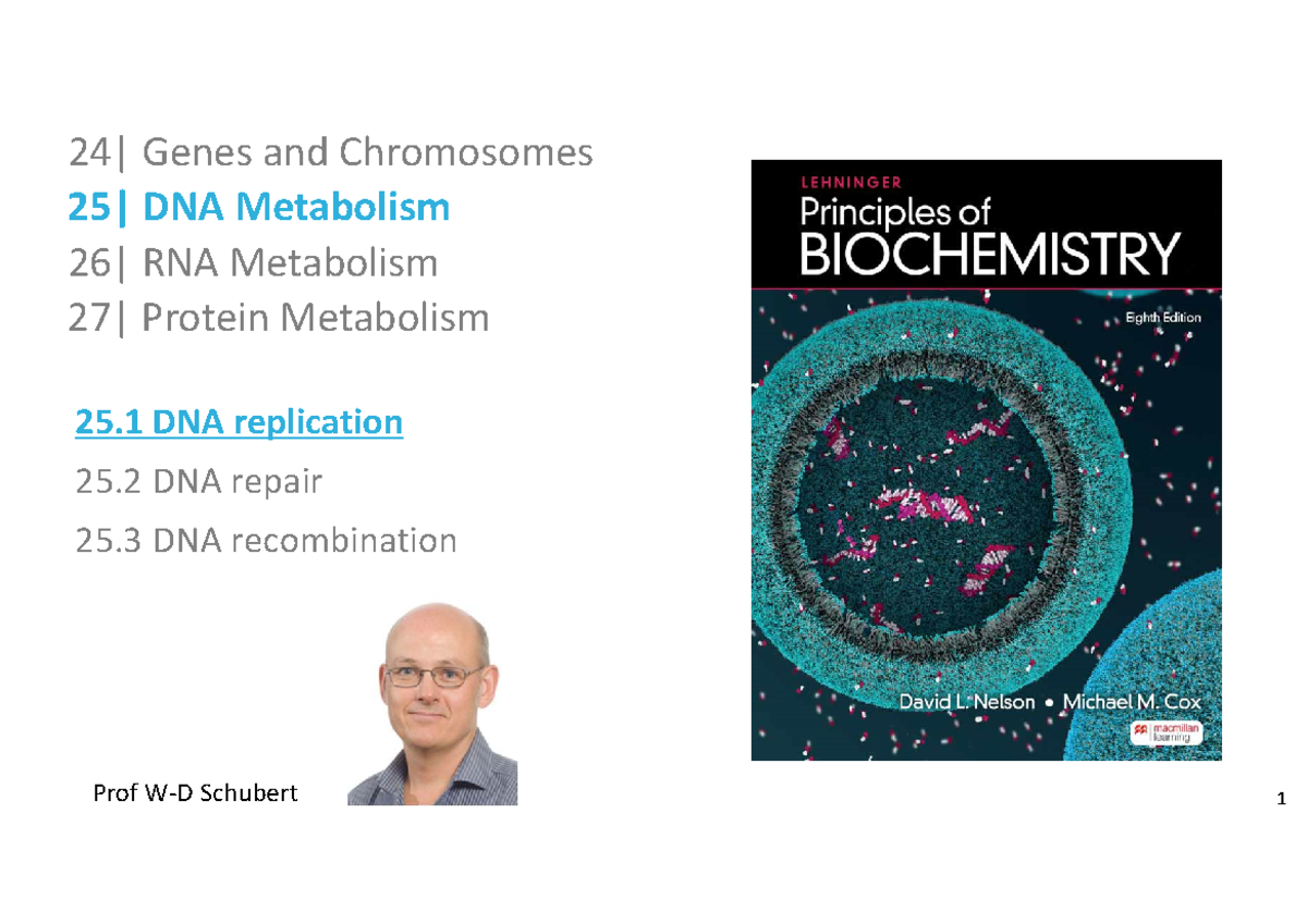 BCM 356 - Theme 5 - DNA Replication - 25| DNA Metabolism 25. DNA ...