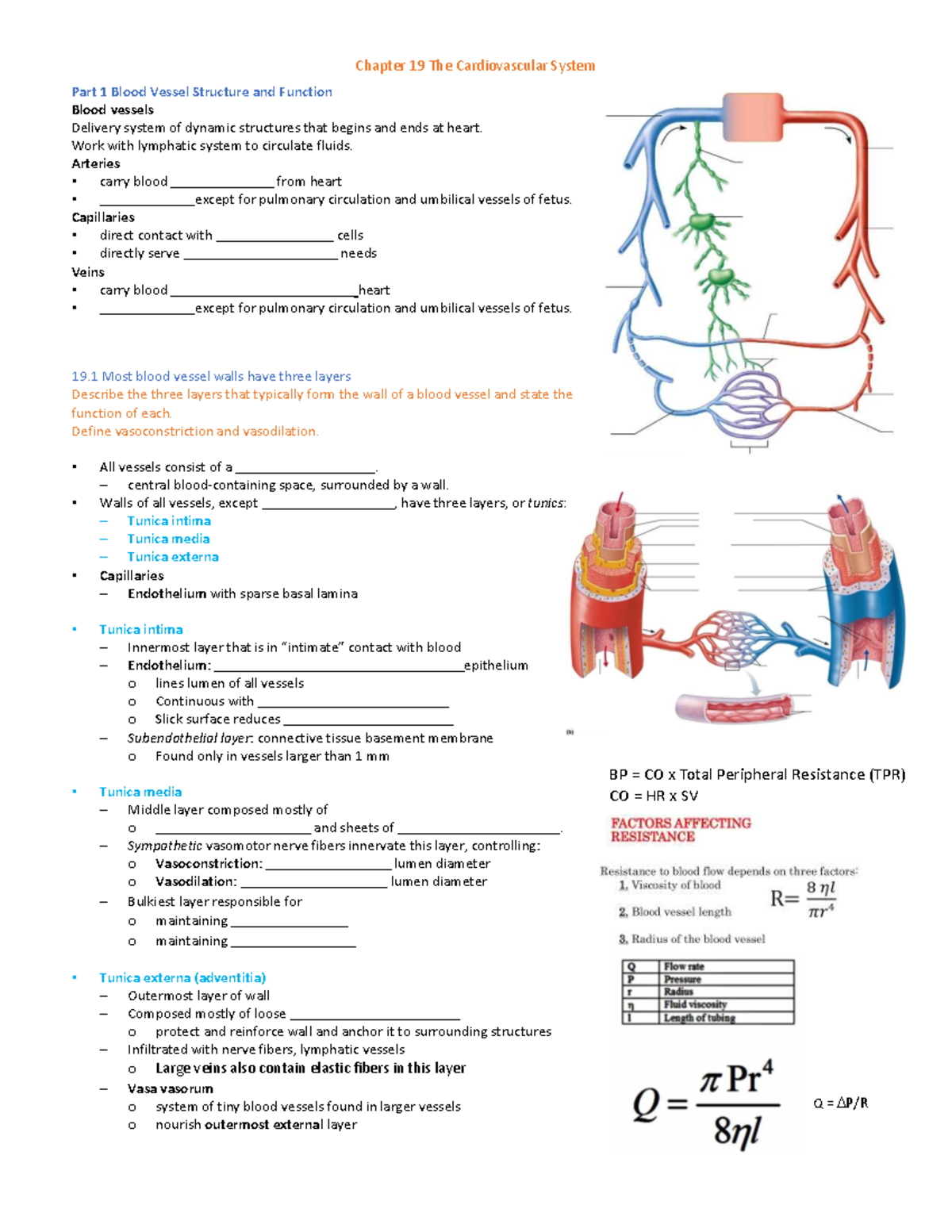 Cardiovascular System Overview: Blood Vessels, Pressure, and Flow ...
