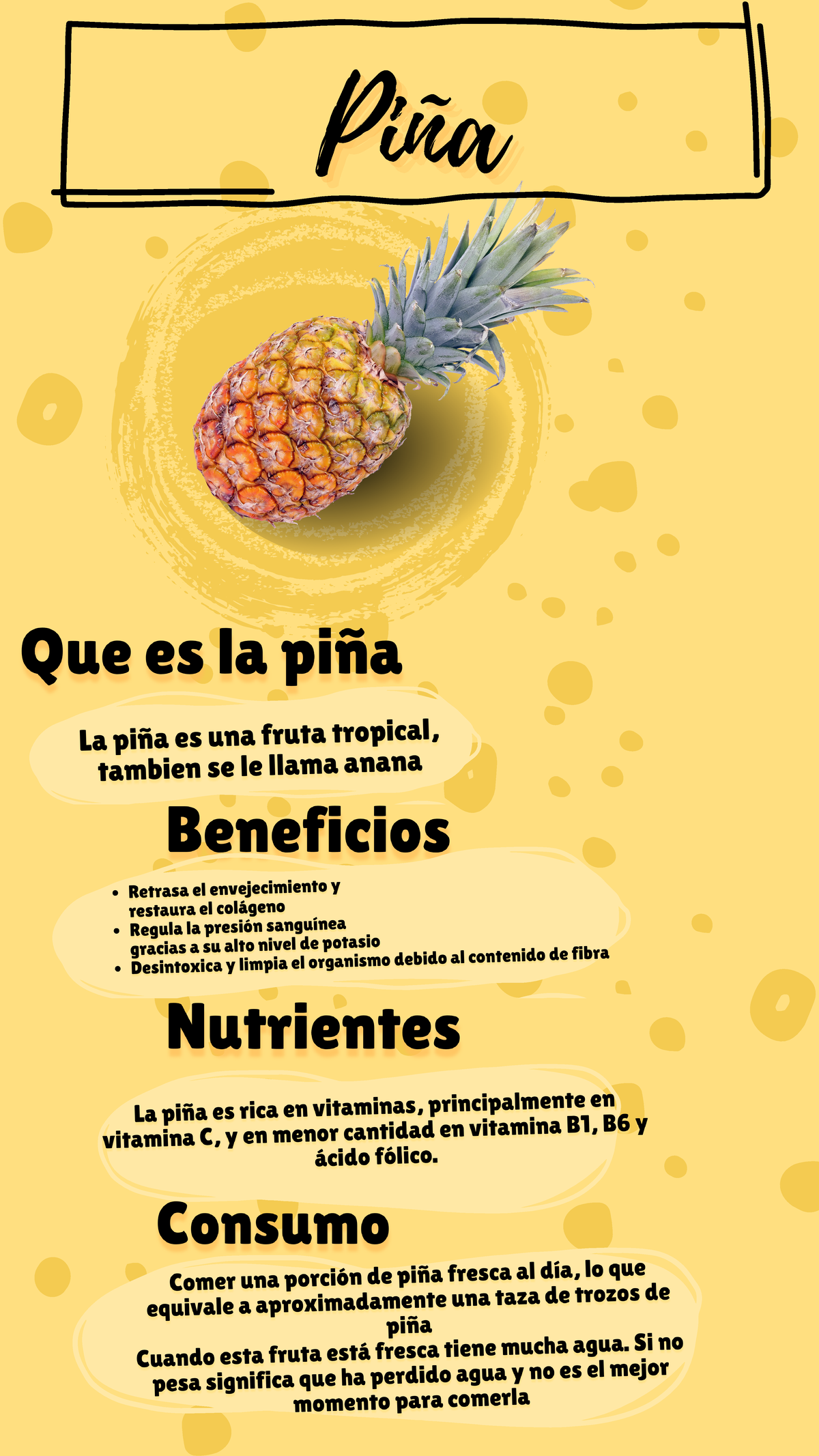 Infografia Piña - parcial - Piña Que es la piña La piña es una fruta ...