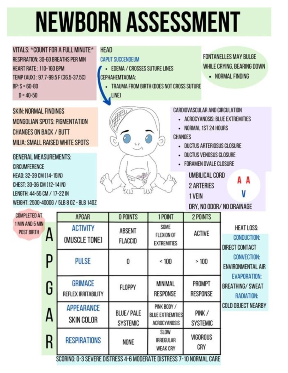 Newborn Assessment: Vital Signs and Normal Findings - Studocu