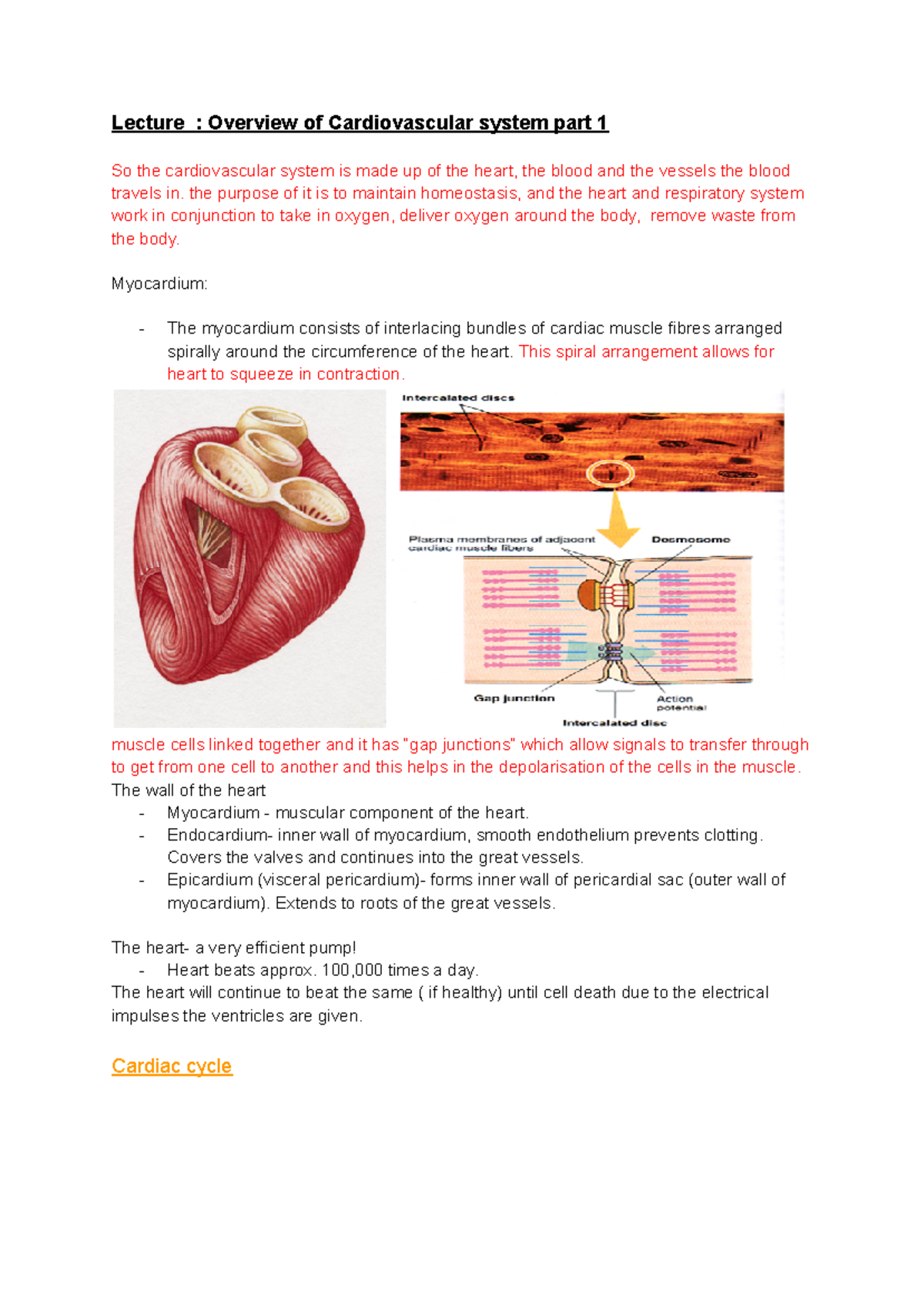 Lecture (BIO 101): Overview of Cardiovascular System - Part 1 - Studocu
