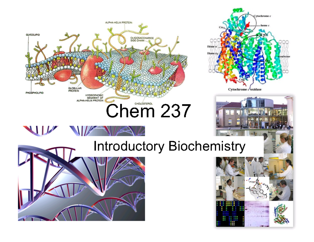 Chem 237 Lecture 1: Intro to Biochemistry & Thermodynamics - Winter ...