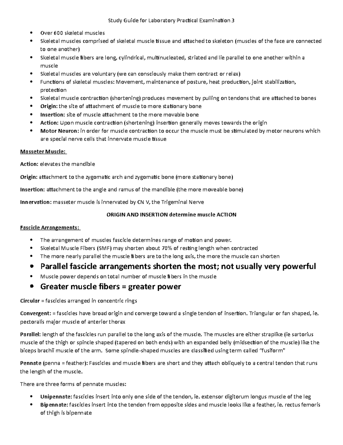 Laboratory Practical Exam 3 Study Guide: Skeletal & Nervous Systems ...