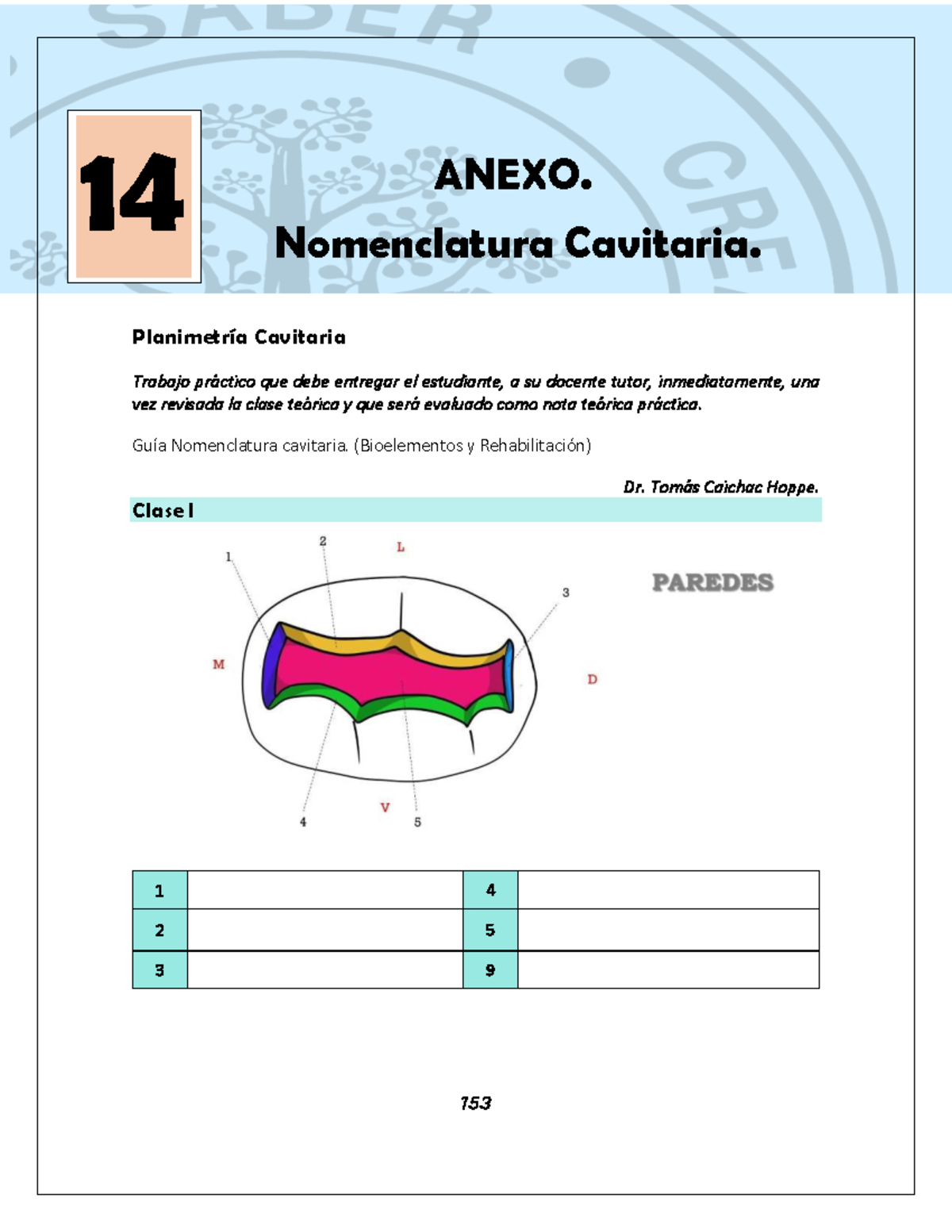 gu-a-pr-ctica-de-nomenclatura-cavitaria-bioelementos-y-rehabilitaci-n