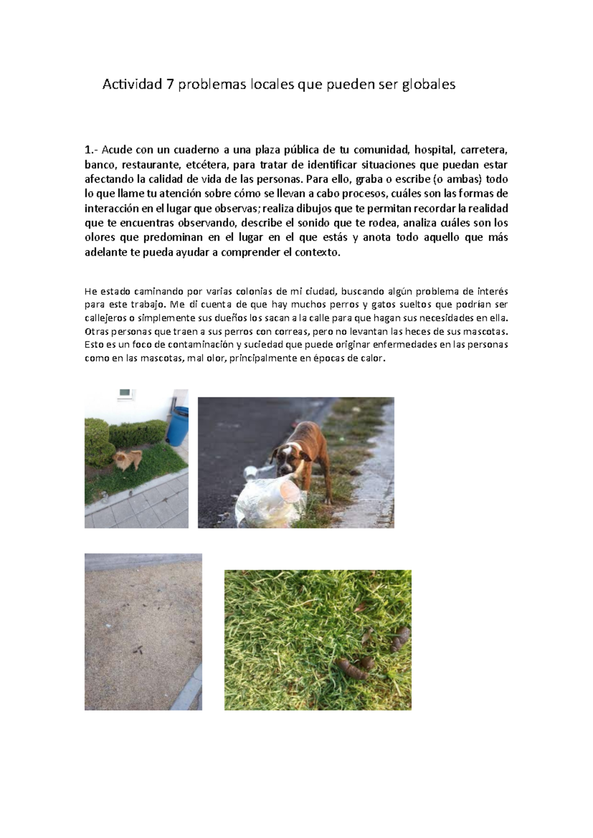 A6 MRDL - Actividad 7: Soluciones a Problemas Locales Globales - Studocu