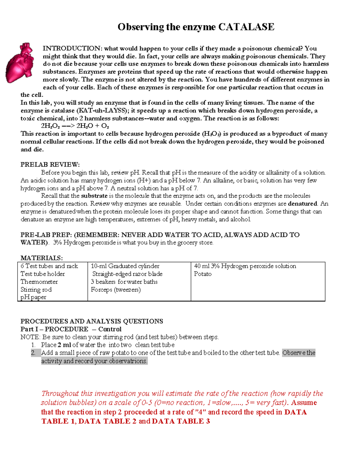 Catalase lab biology 2021 pdf Gupta l - Observing the enzyme CATALASE ...