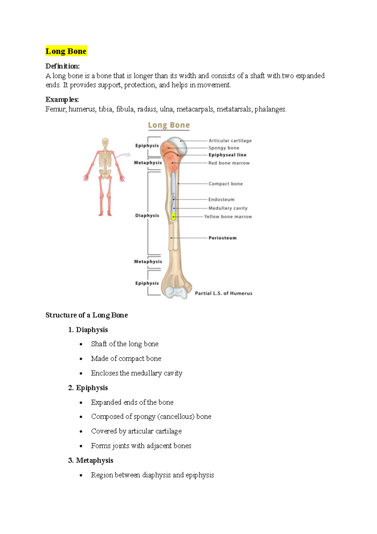 Long Bone & Vertebral Column Overview: Structure & Functions - Studocu