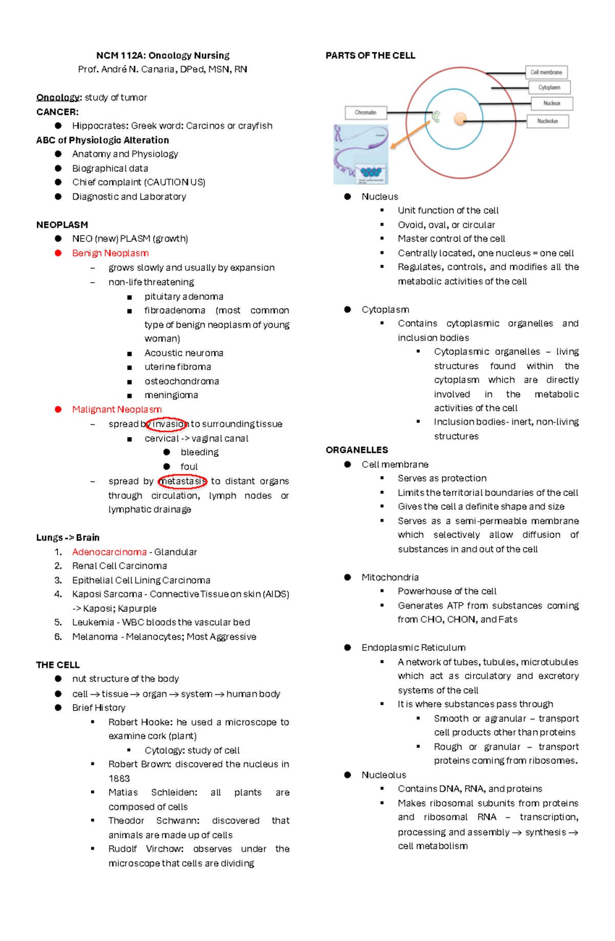 Intrapartum Care: NCM 109 RLE Exam Review & Key Concepts - Studocu