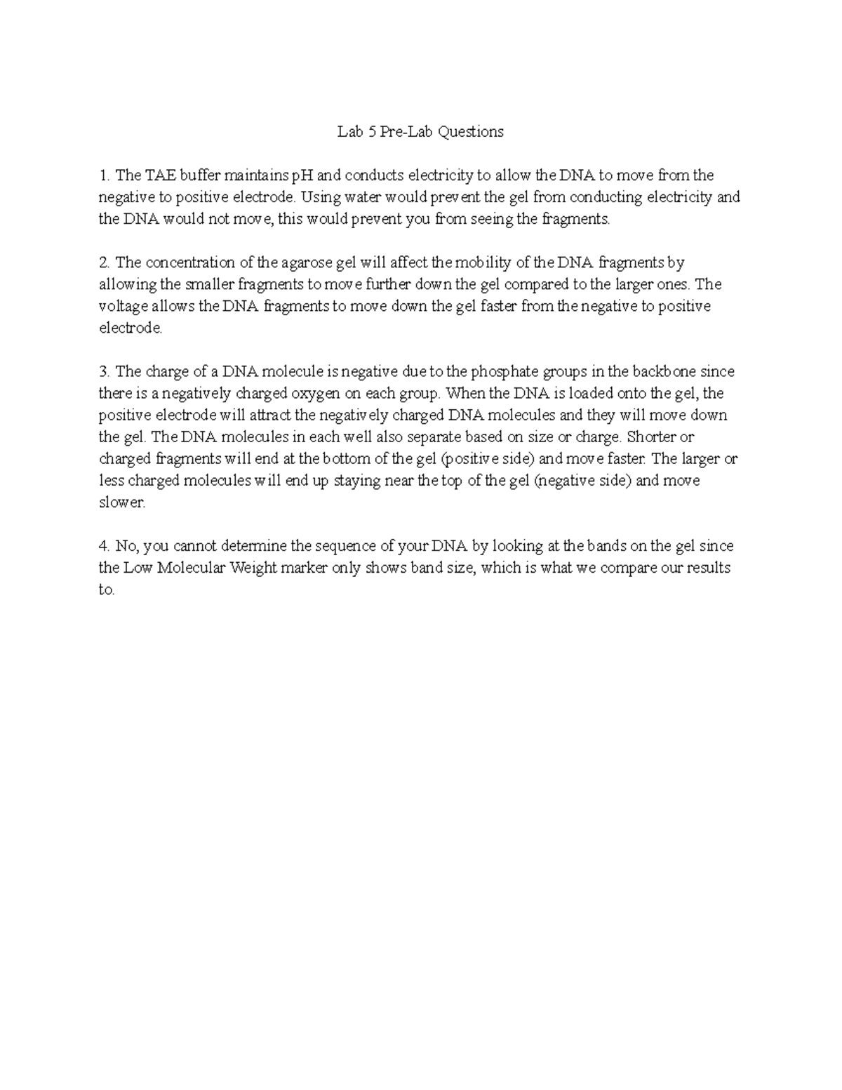 Bio Pre Lab 5: DNA Gel Electrophoresis Questions and Insights - Studocu