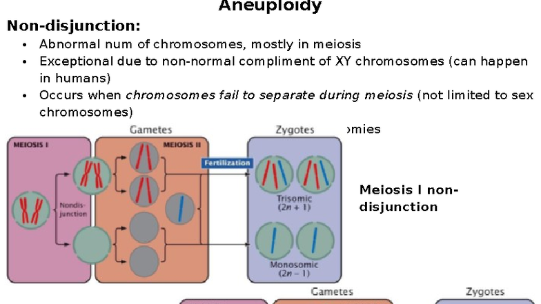 Aneuploidy and Chromosome Terminology: Key Concepts and Definitions ...