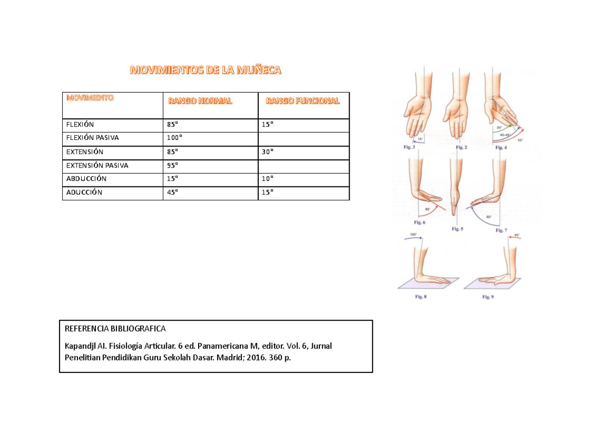 Pruebas Funcionales de la Muñeca - Fisioterapia (FISIO 101) - Studocu
