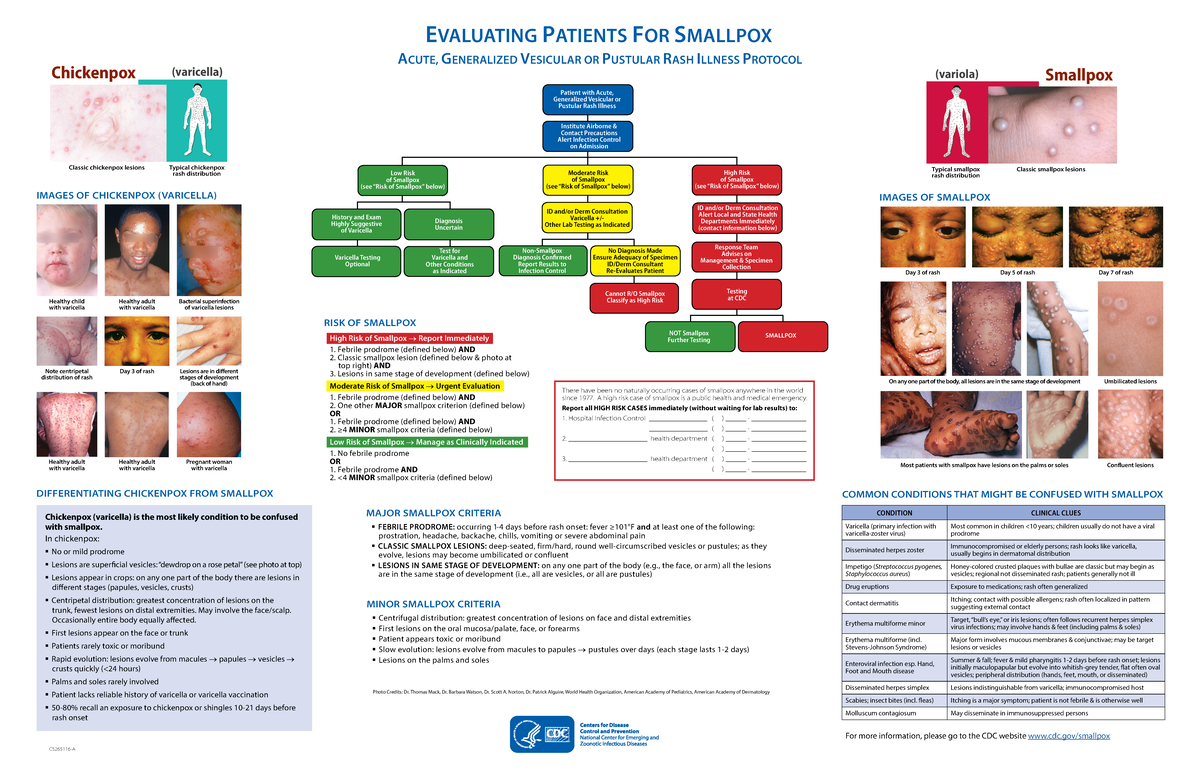 Smallpox diagnostic algorithm poster 11x17 - EVALUATING PATIENTS FOR ...