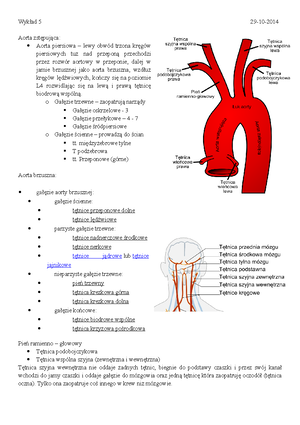 Anatomia człowieka Układ nerwowy - UKŁAD NERWOWY Neuron - podstawowa ...