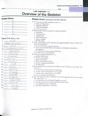 LAB Report 12 - Anatomy and Physiology - Anatomy and Physiology Jame ...