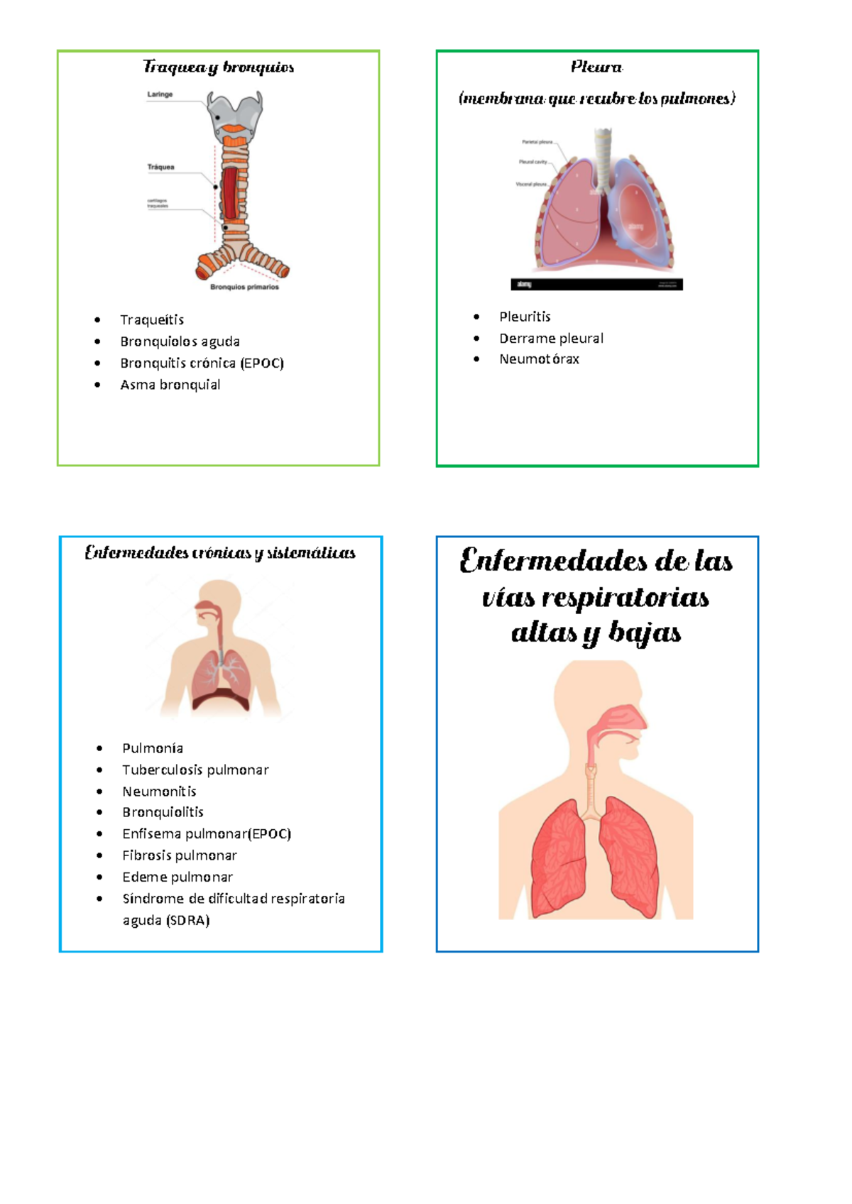 Fichas NIÑO Y Adolescente - Introducción a la Enfermería - Traqueítis ...
