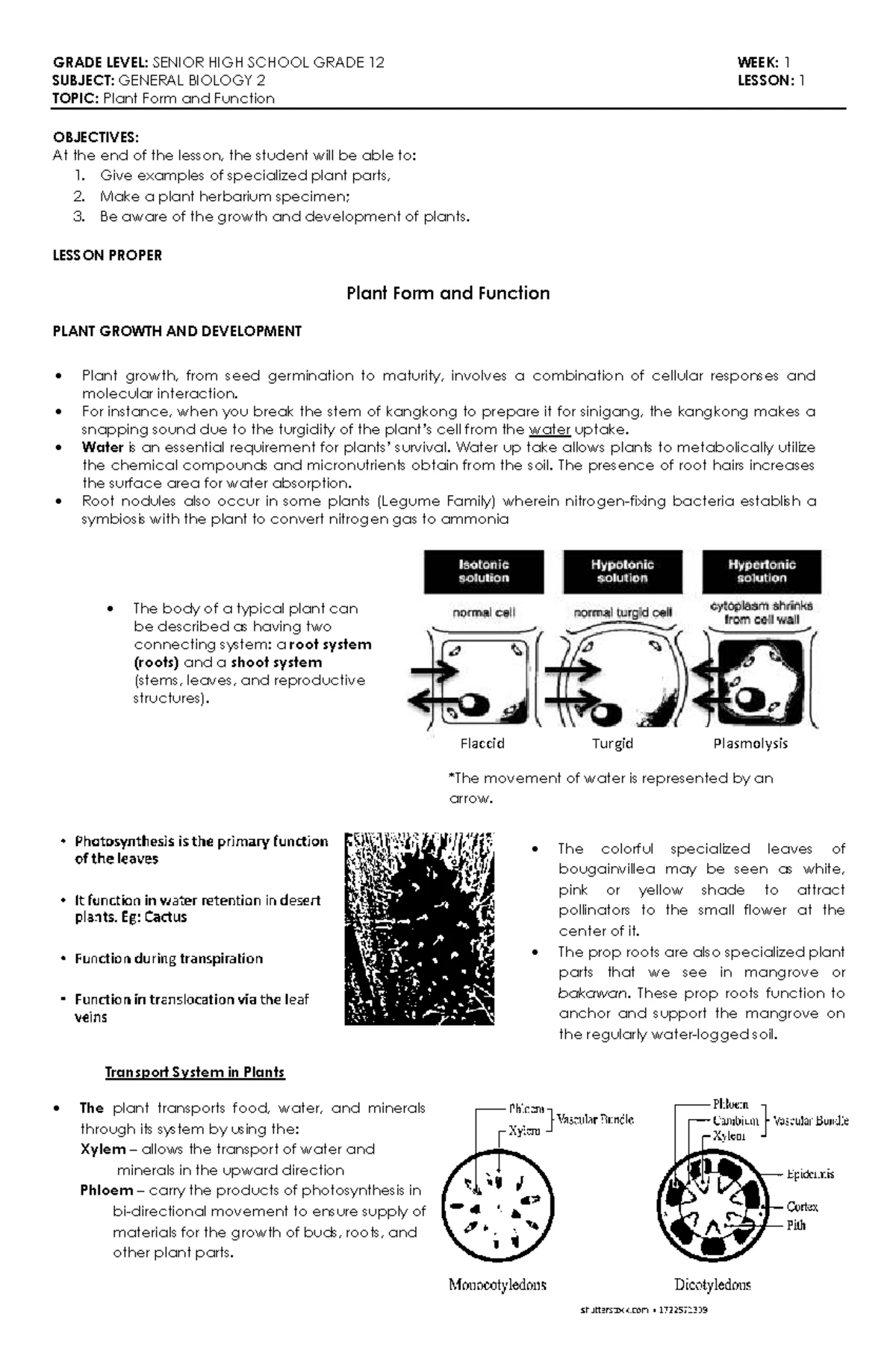 G12 General Biology 1 Lesson 1: Understanding Cell Modifications - Studocu