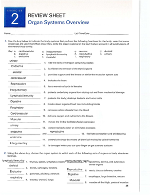 Quiz 1 anatomy - practice exam for a&p - human anatomy & physiology ...