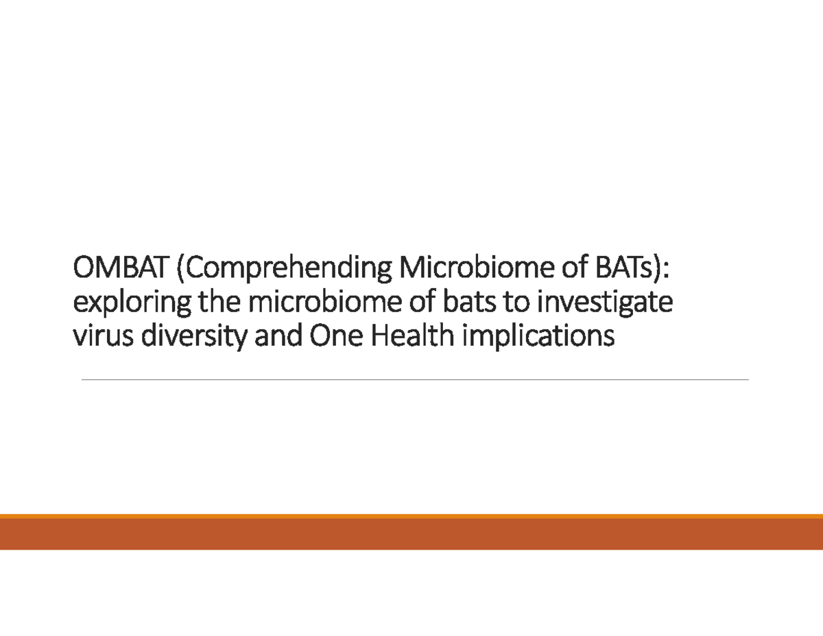 OMBAT (Comprehending Microbiome of BATs): Virus Diversity & One Health ...
