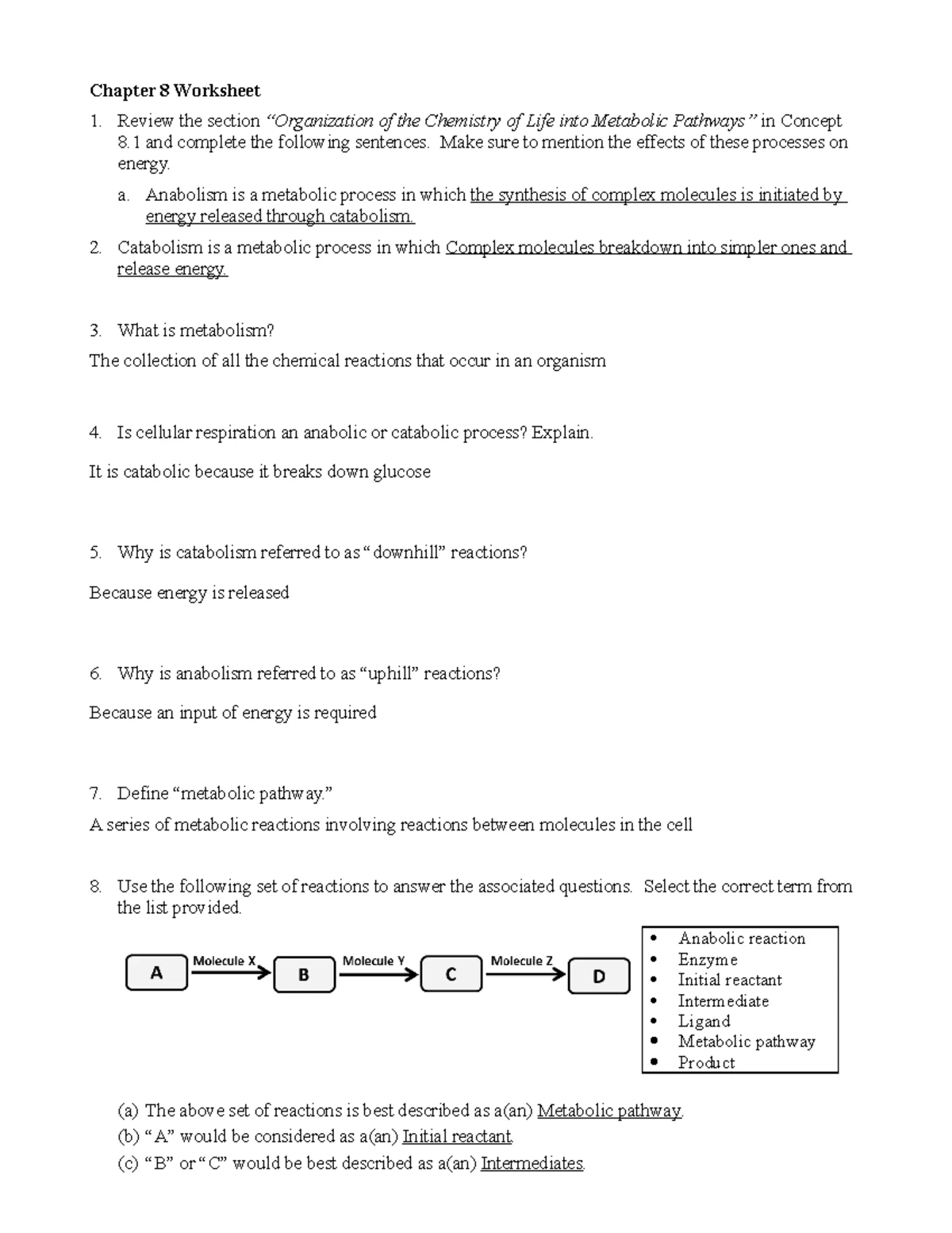 Biology 101: Chapter 1 Worksheet on Unifying Themes and Metabolism ...