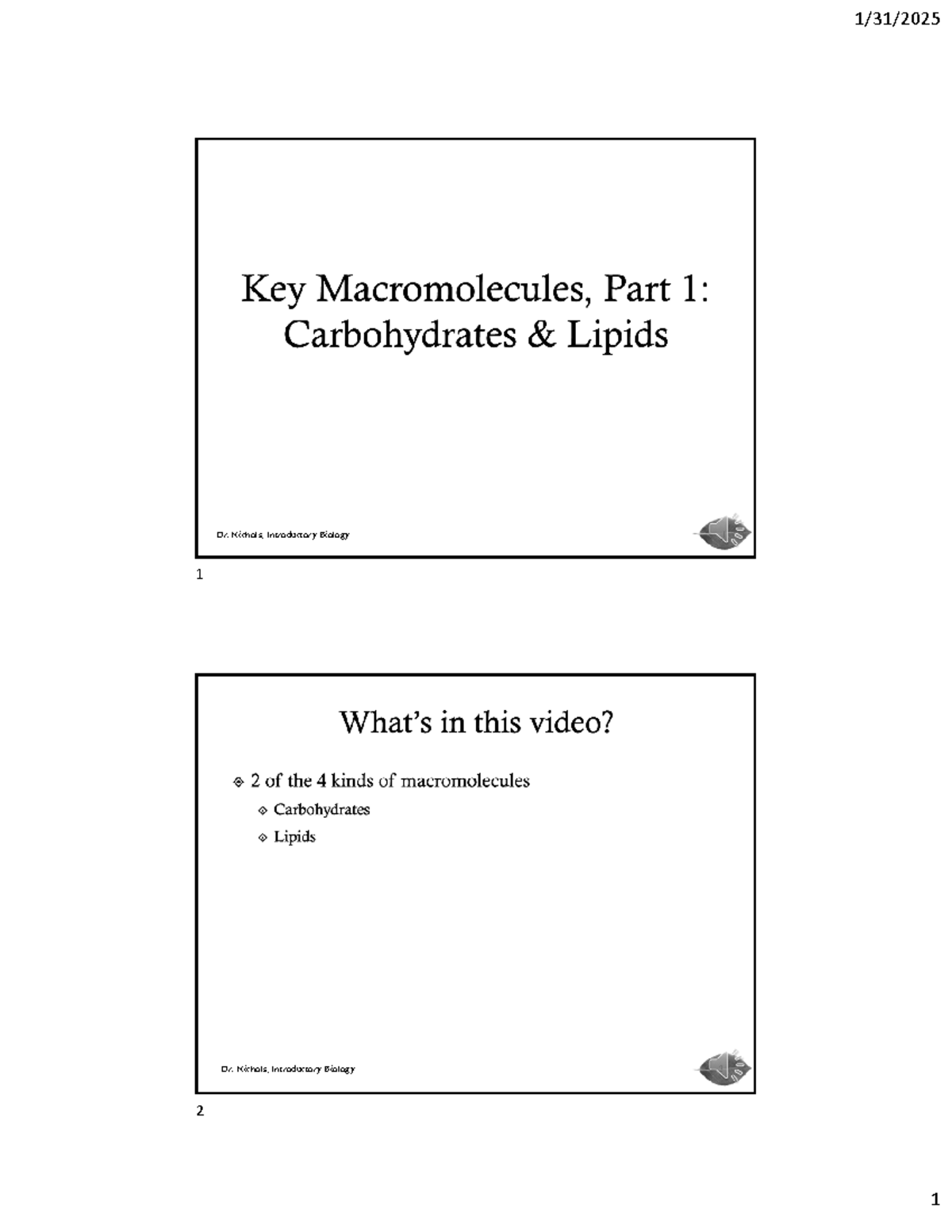 Introductory Biology 1 - Lecture 6: Overview of Macromolecules - Studocu