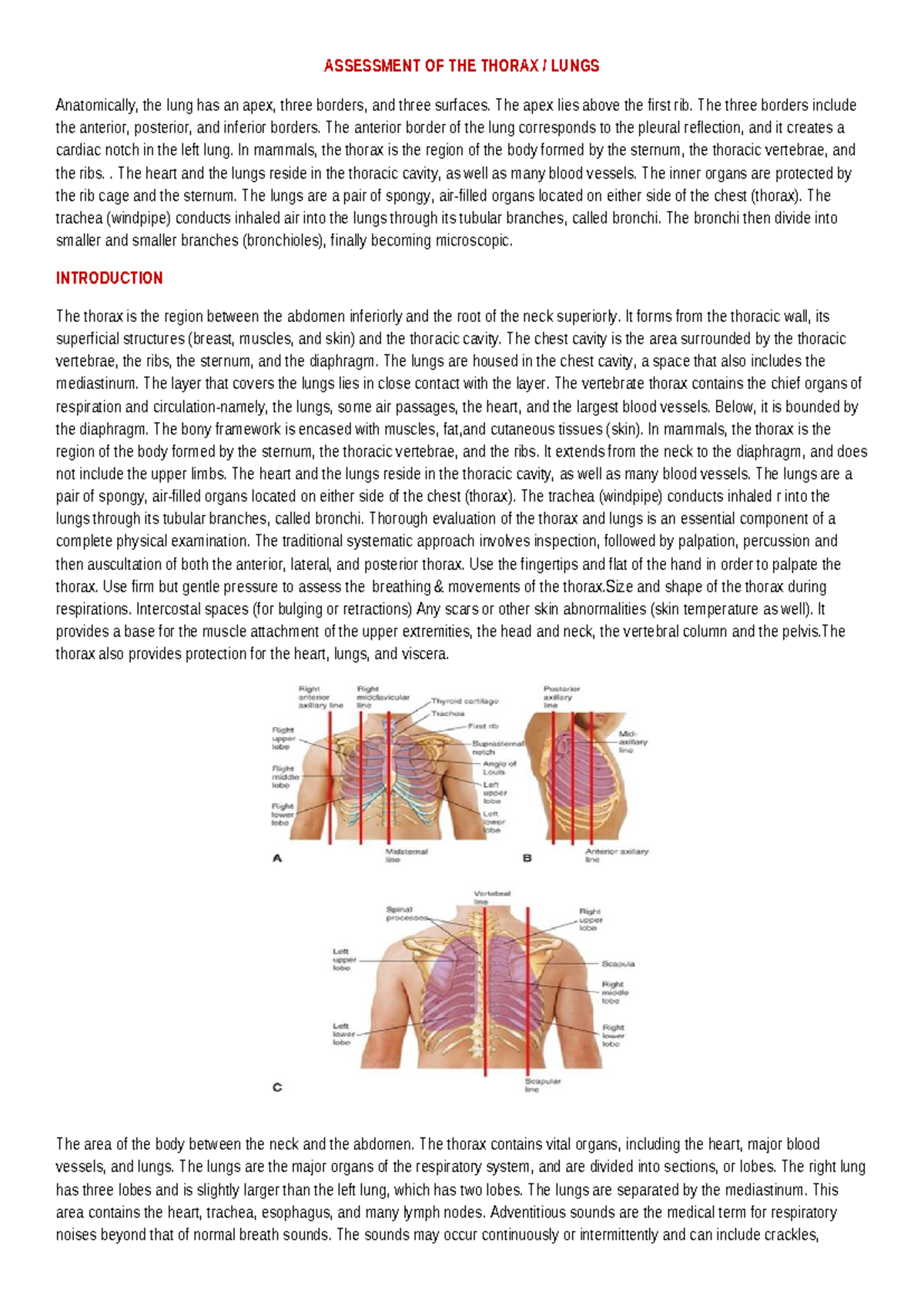 Health Assessment: Thorax and Lungs Overview for Clinical Practice ...
