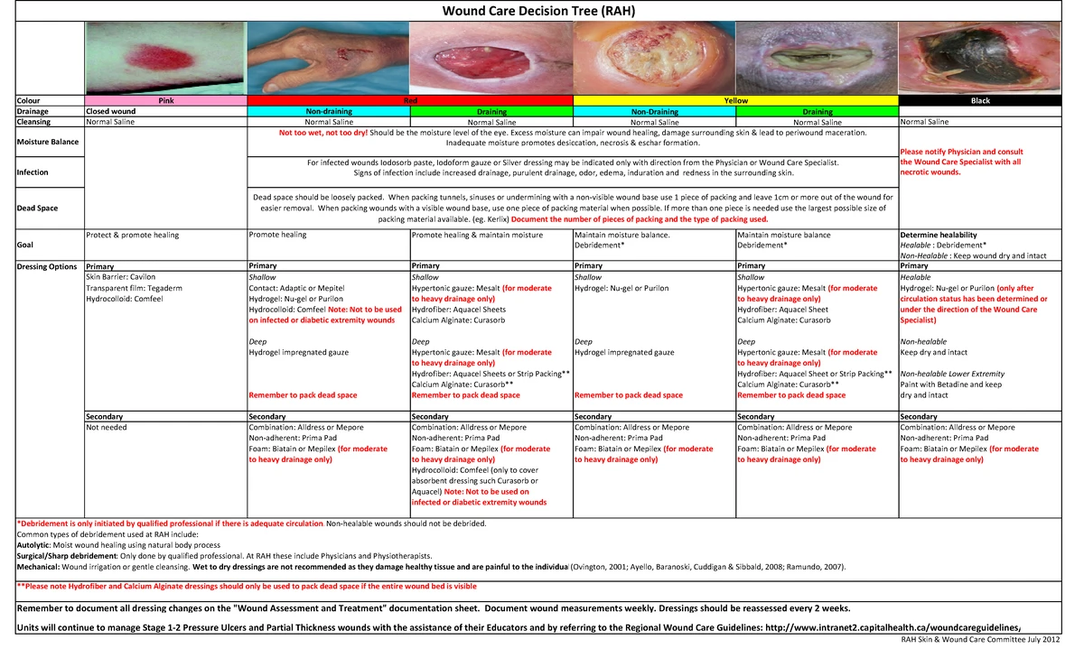 HESI Case Study on Type 1 Diabetes Management - Key Insights - FALL ...