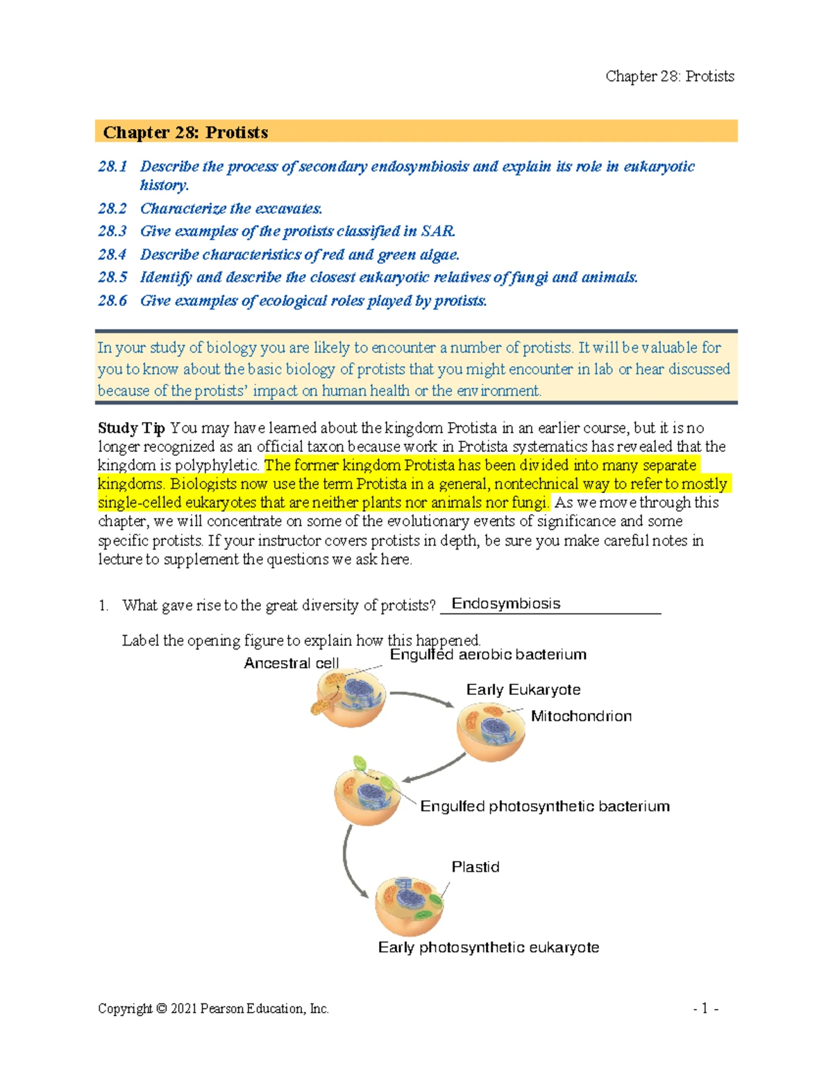 Annotated-C33-RGA - Invertebrates Chapter 33 Summary and Concepts - Studocu
