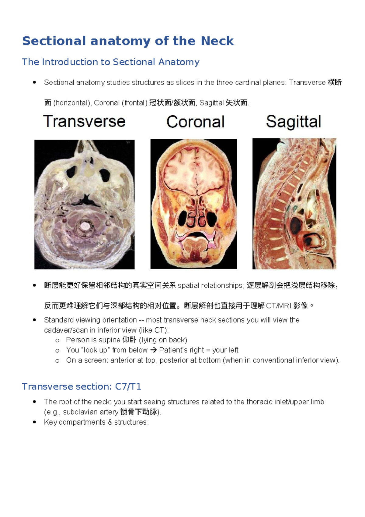 Sectional Anatomy of the Neck: A Comprehensive Overview (ANAT 101 ...